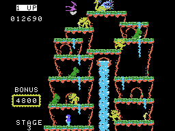 Roc 'N Rope screenshot 7 for Colecovision